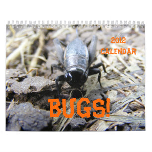 BUGS! Kalender 2012