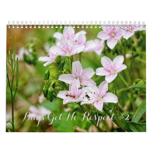 Bugs krijgen geen respect #2 Agenda Kalender (Hoes)
