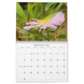 Bugs krijgen geen respect #2 Agenda Kalender (Feb 2027)