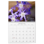Bugs krijgen geen respect #2 Agenda Kalender (Jan 2027)