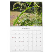 Bugs krijgen geen respect #2 Agenda Kalender (Mar 2026)