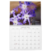 Bugs krijgen geen respect #2 Agenda Kalender (Jan 2026)