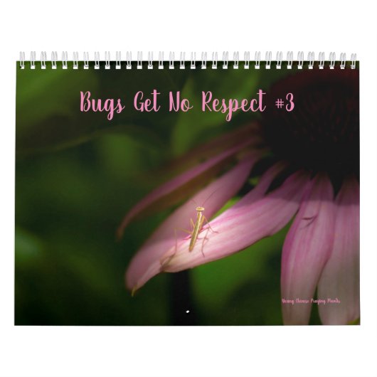 Bugs krijgen geen respectvolle agenda #3 kalender (Hoes)
