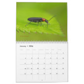 Bugs krijgen geen respectvolle agenda #3 kalender (Jan 2026)