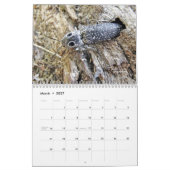 Bugs krijgen geen respectvolle agenda #3 kalender (Mar 2027)