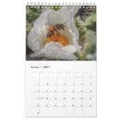 bugs leven kalender (Jan 2027)