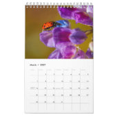 bugs leven kalender (Mar 2027)