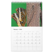 bugs leven kalender (Feb 2026)