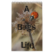 bugs leven kalender (Hoes)