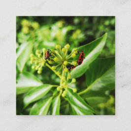 bugs op groene kaart