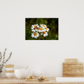 Bugs! Poster (Keuken)