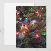 Bugs the Cat - Holiday Kaart (Voorkant / Achterkant)