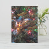 Bugs the Cat - Holiday Kaart (Staand voorkant)