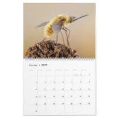 BUGS UPCLOSE 2021 KALENDER (Jan 2027)
