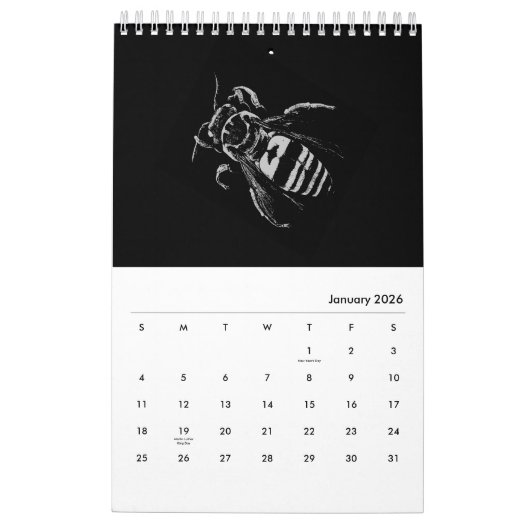 Bugs World - Insecten - 2021 Kalender (Jan 2026)