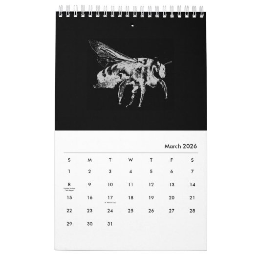 Bugs World - Insecten - 2021 Kalender (Mar 2026)