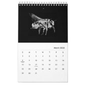 Bugs World - Insects - Agenda 2022 Kalender (Mar 2026)