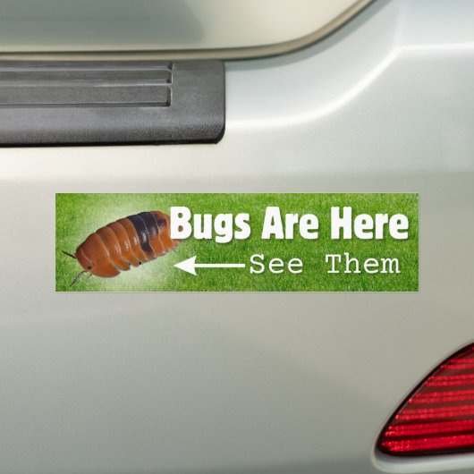 Bugs zijn hier...Isopod Edition Bumpersticker (Op auto)