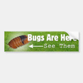 Bugs zijn hier...Isopod Edition Bumpersticker (Voorkant)