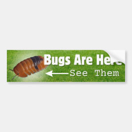 Bugs zijn hier...Isopod Edition Bumpersticker