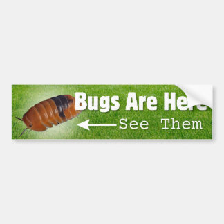 Bugs zijn hier...Isopod Edition Bumpersticker
