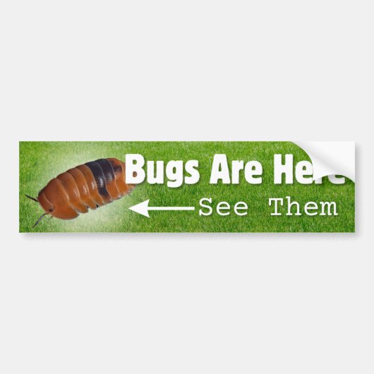 Bugs zijn hier...Isopod Edition Bumpersticker (Voorkant)