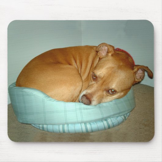 Bugsy Muismat (Voorkant)