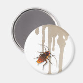 Bugzeez_Icky Sticky Roaches druipende koelkast mag Magneet (Voorkant / Achterkant)