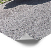 Buick Skylark 1953 Poster (Hoek)