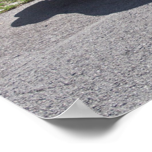 Buick Skylark 1953 Poster (Hoek)