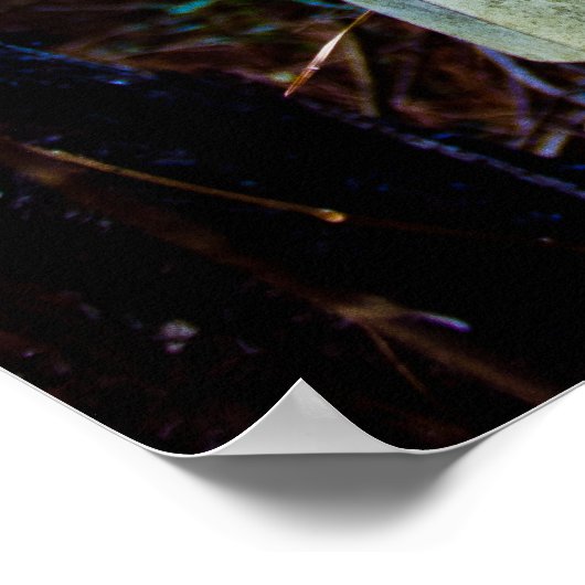 Buick Wildcat Poster (Hoek)