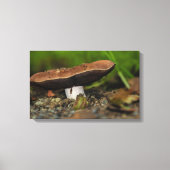 Buigenleven Canvas Afdruk (Voorkant)