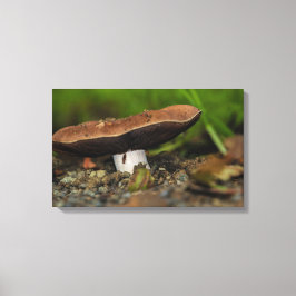 Buigenleven Canvas Afdruk