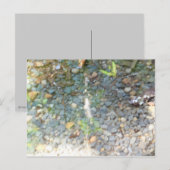 Buigt in een Briefkaart van de Stroom (Voorkant / Achterkant)