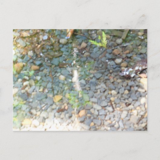 Buigt in een Briefkaart van de Stroom (Voorkant)