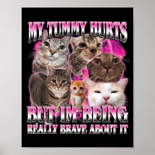 Buik doet grappig pijn brainrot stom dank kat meme poster