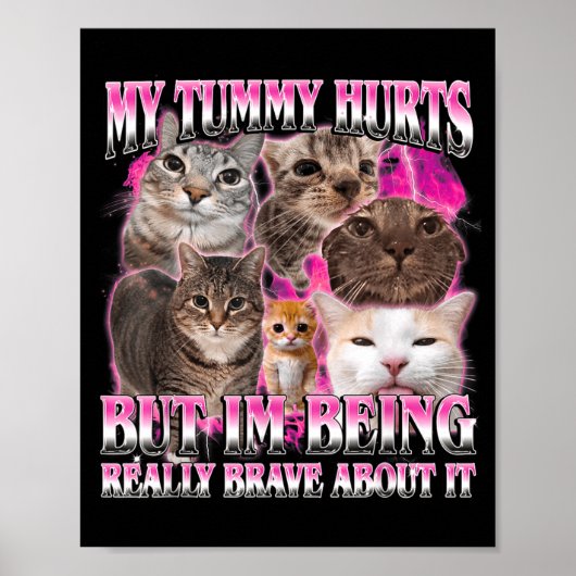 Buik doet grappig pijn brainrot stom dank kat meme poster (Voorkant)