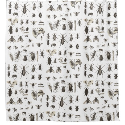  buik en insect Entomoloog Douchegordijn (Voorkant)