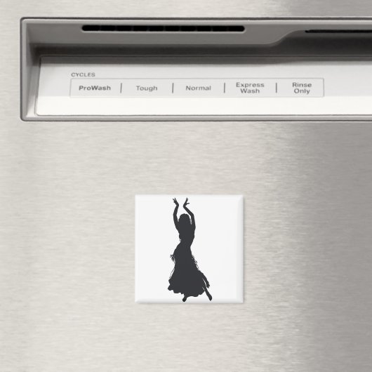 buikdansmagneet magneet (Insitu (Vaatwasser))