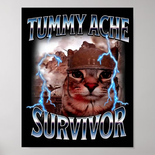 Buikpijn overlever grappige kat meme overleefde va poster (Voorkant)