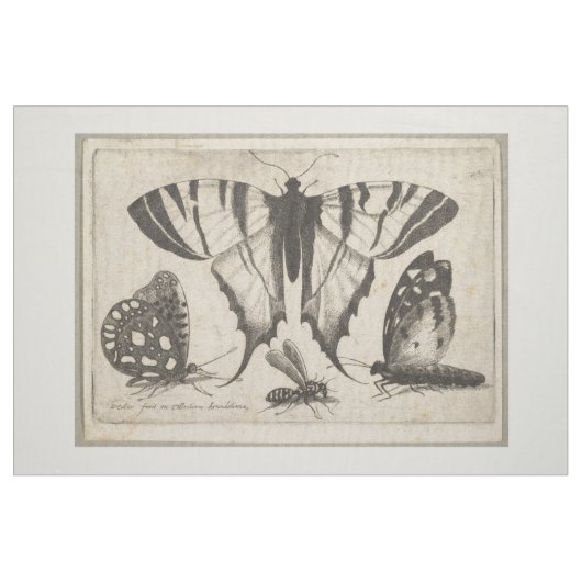 buikvliezen - Insecte buisjes (01) Stof (Fat Quarter)