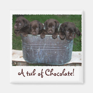 Buis van chocolade magneet