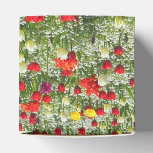 Buis van Tulpen Bedankdoosjes (Bovenkant)