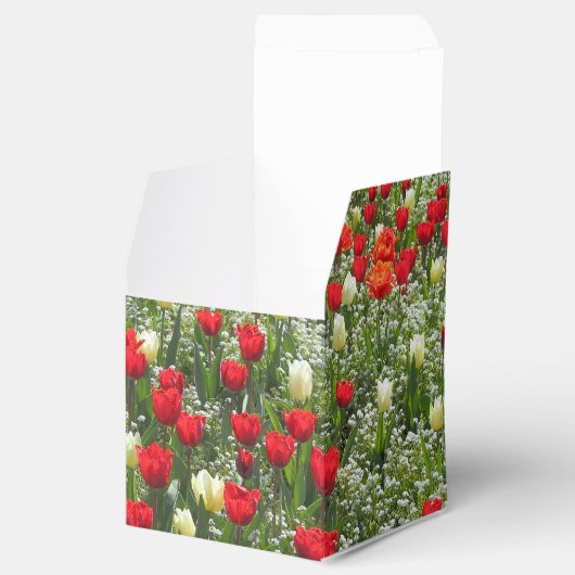 Buis van Tulpen Bedankdoosjes (Geopend)