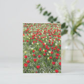 Buis van Tulpen Briefkaart (Staand voorkant)