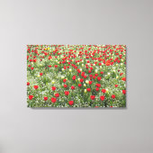 Buis van Tulpen Canvas Afdruk (Voorkant)