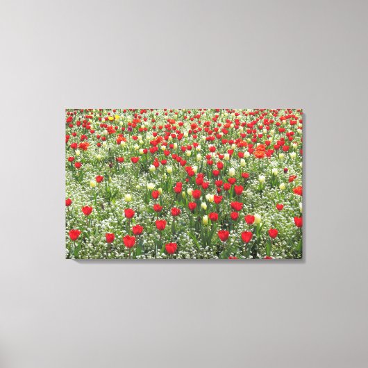 Buis van Tulpen Canvas Afdruk (Voorkant)