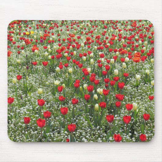 Buis van Tulpen Muismat (Voorkant)