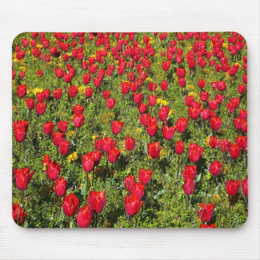 Buis van Tulpen Muismat (Voorkant)