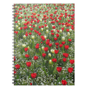 Buis van Tulpen Notitieboek